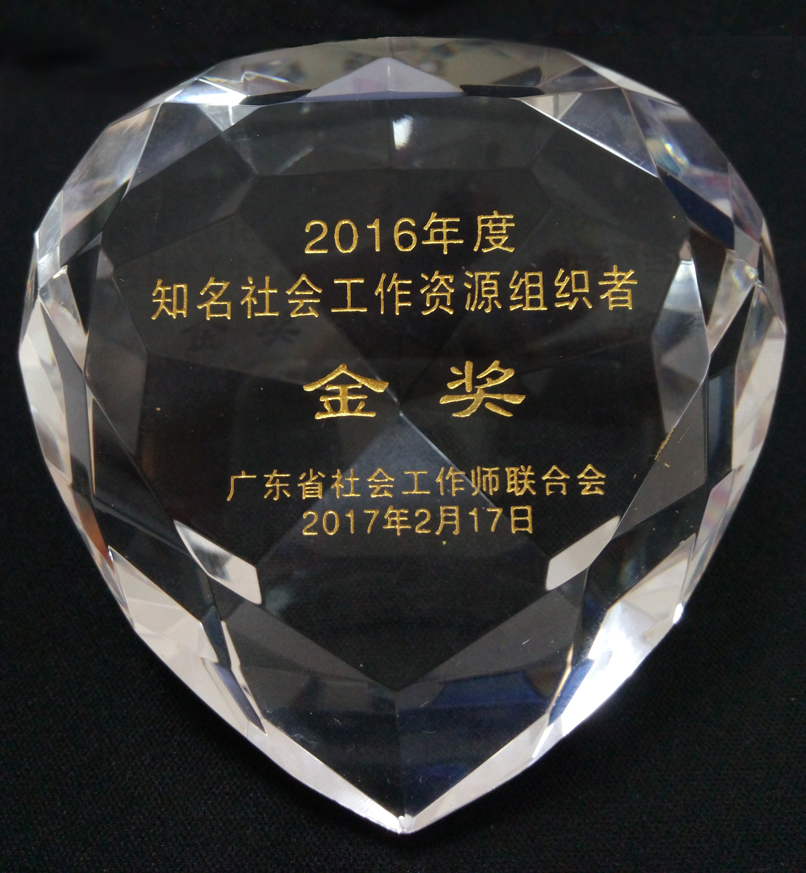 2016年度“知名社会工作资源组织者”金奖(+1).jpg